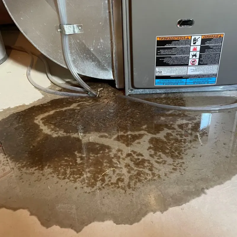 Pipe Burst and Leak Restoration in Kennebunk, ME